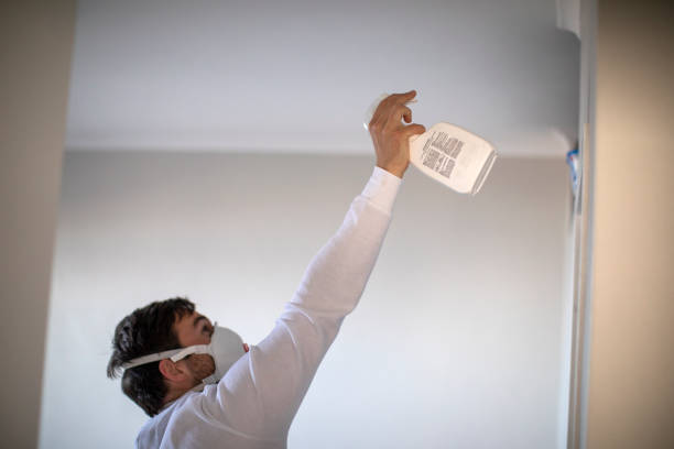 Best Attic Mold Removal  in Underwood Petersville, AL