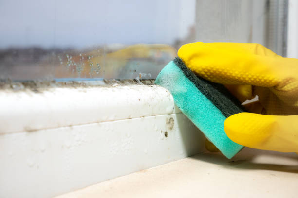 Water Damage Restoration in Underwood Petersville, AL